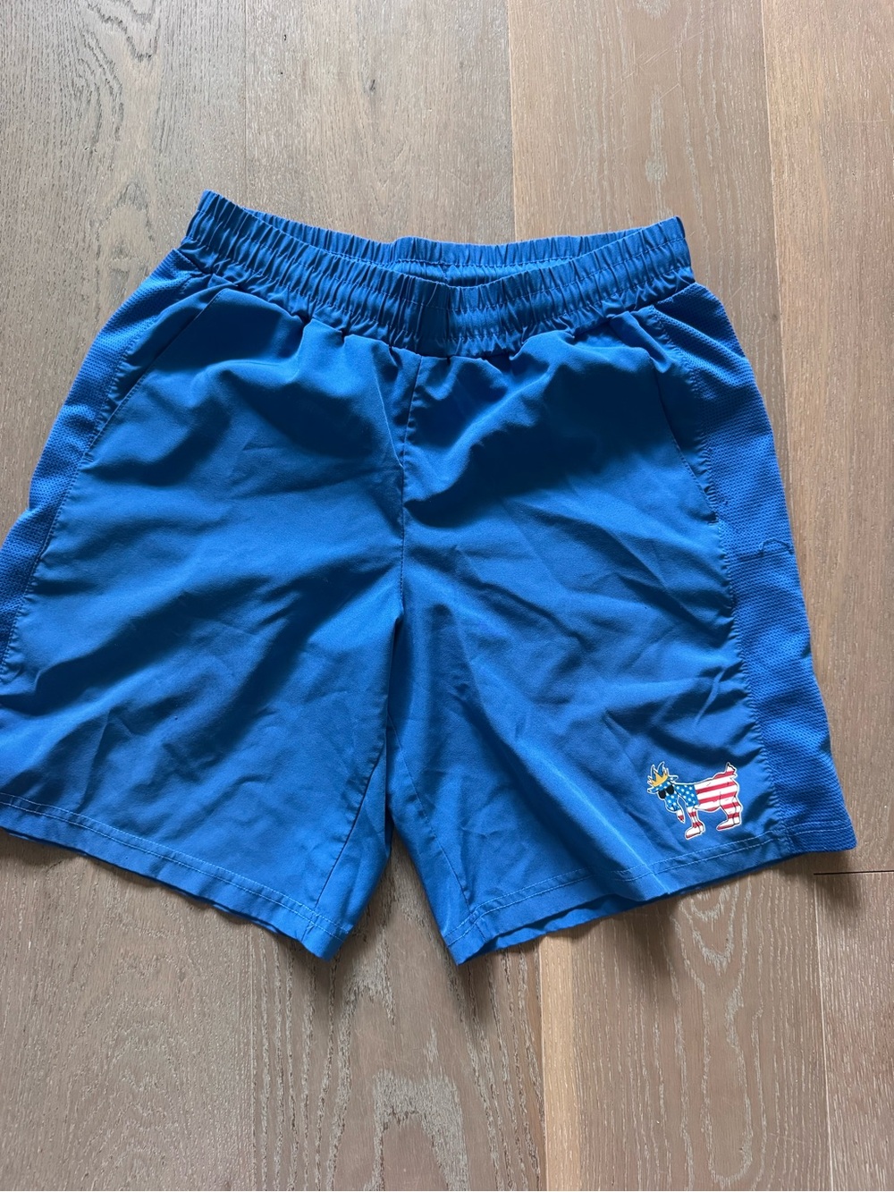 Boys Blue Athletic Shorts with Patriotic Donkey Patch